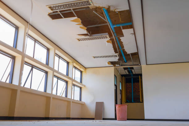 Best Ceiling water damage repair  in Fairmount, NY