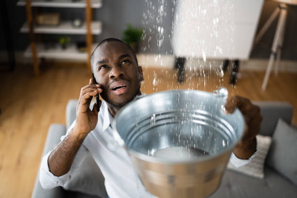  Fairmount, NY Water damage restoration Pros
