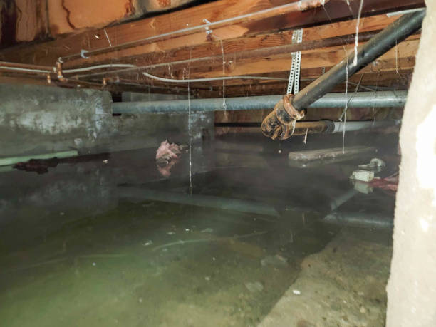 Best Flood restoration services  in Fairmount, NY