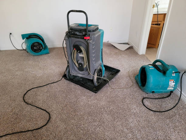 Best Flooded house restoration  in Fairmount, NY
