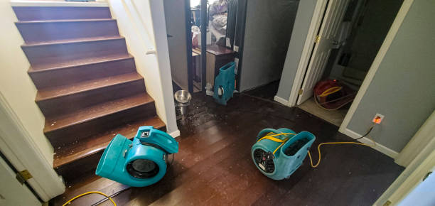 Best Commercial water damage restoration  in Fairmount, NY