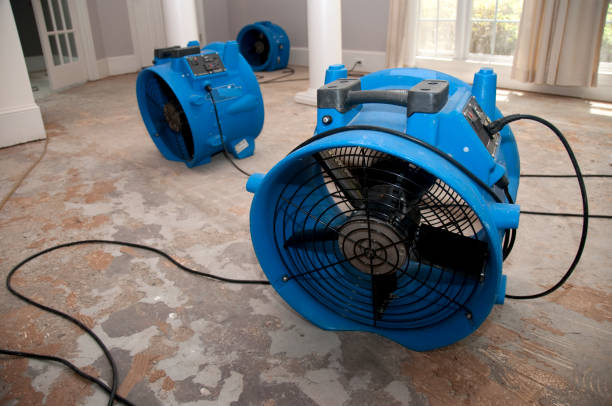 Best Water damage restoration near me  in Fairmount, NY