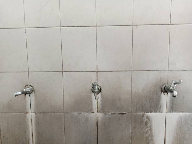 Best Water damage restoration experts  in Fairmount, NY