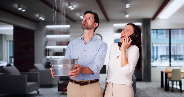 Best Water damage restoration services  in Fairmount, NY