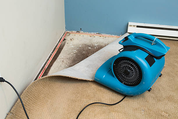 Best Water damage contractors near me  in Fairmount, NY